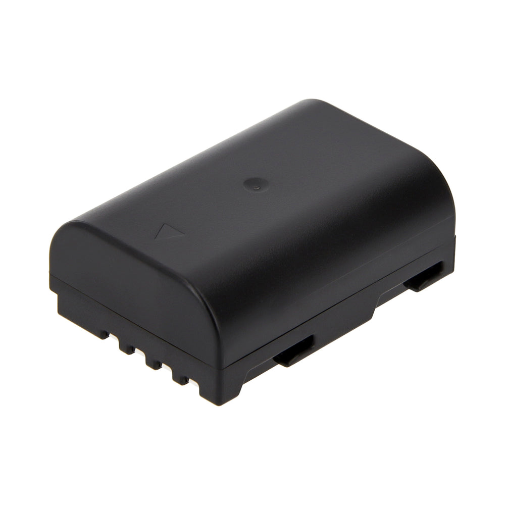 Batteriegriff Set für Panasonic Lumix G9 ersetzt DMW-BGG9 + 2x BLF-19E Akkus + USB Dual Ladegerät